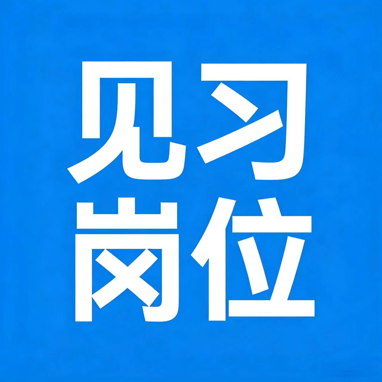 见习岗位│2025年12月寒假见习招募信息